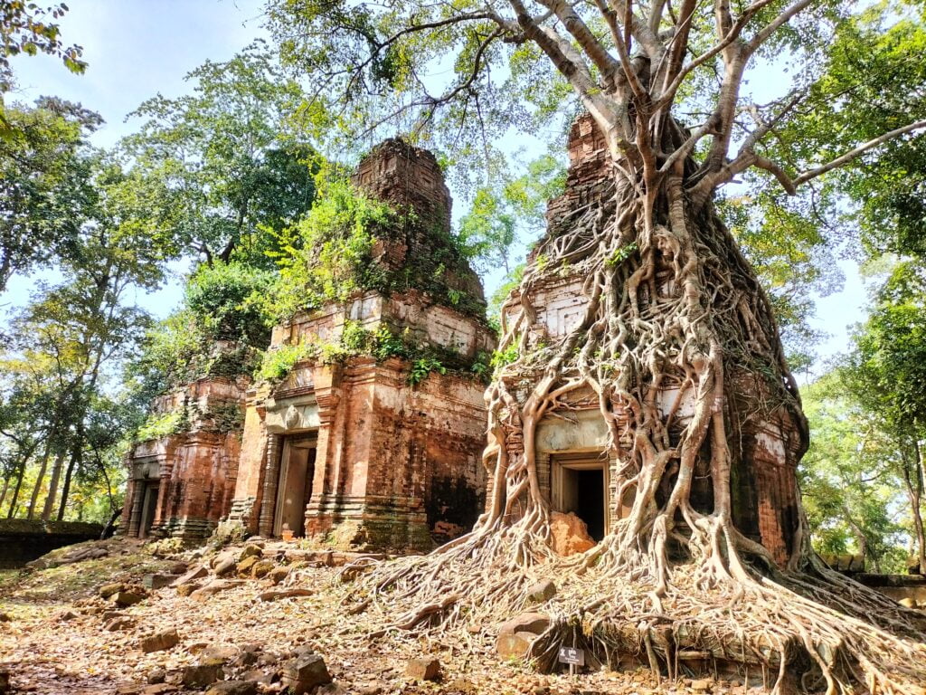Picture of Prasat Pram with amazing tree root and plant on the towers.
