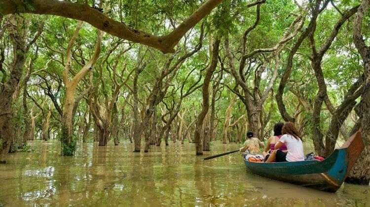 Expansive Tonle Sap Lake in wet season, flooded forests submerged under monsoon waters-05