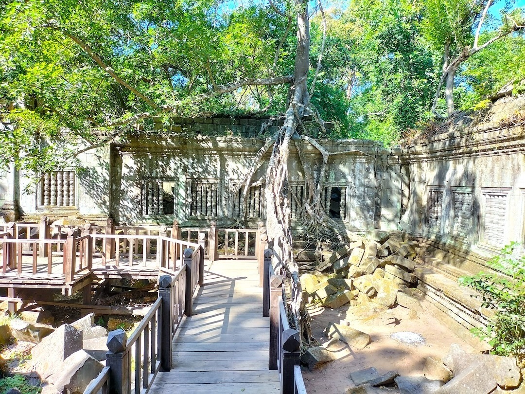 Beng-Mealea-temple-Angkor-Adventure-Cambodia-Adventure-Classic-Adventure-Cambodia-Tours-Angkor-Cambodia-Adventure-angkorcamadventure.com-05