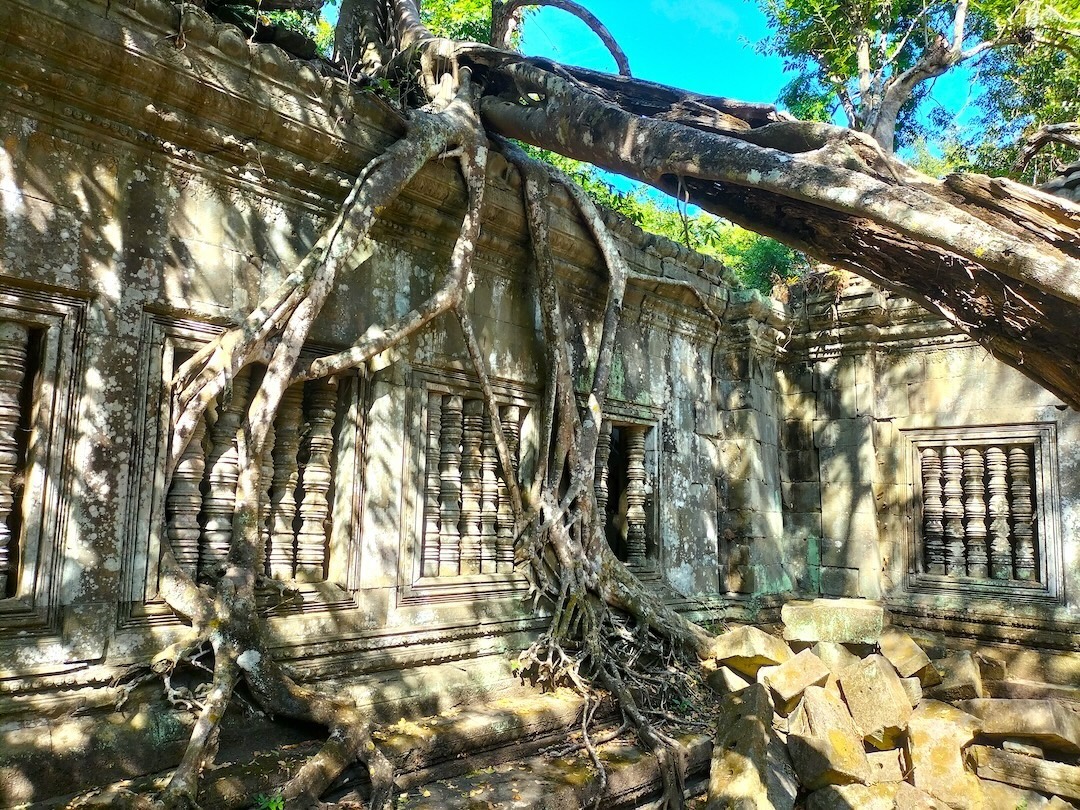Beng-Mealea-temple-Angkor-Adventure-Cambodia-Adventure-Classic-Adventure-Cambodia-Tours-Angkor-Cambodia-Adventure-angkorcamadventure.com-06