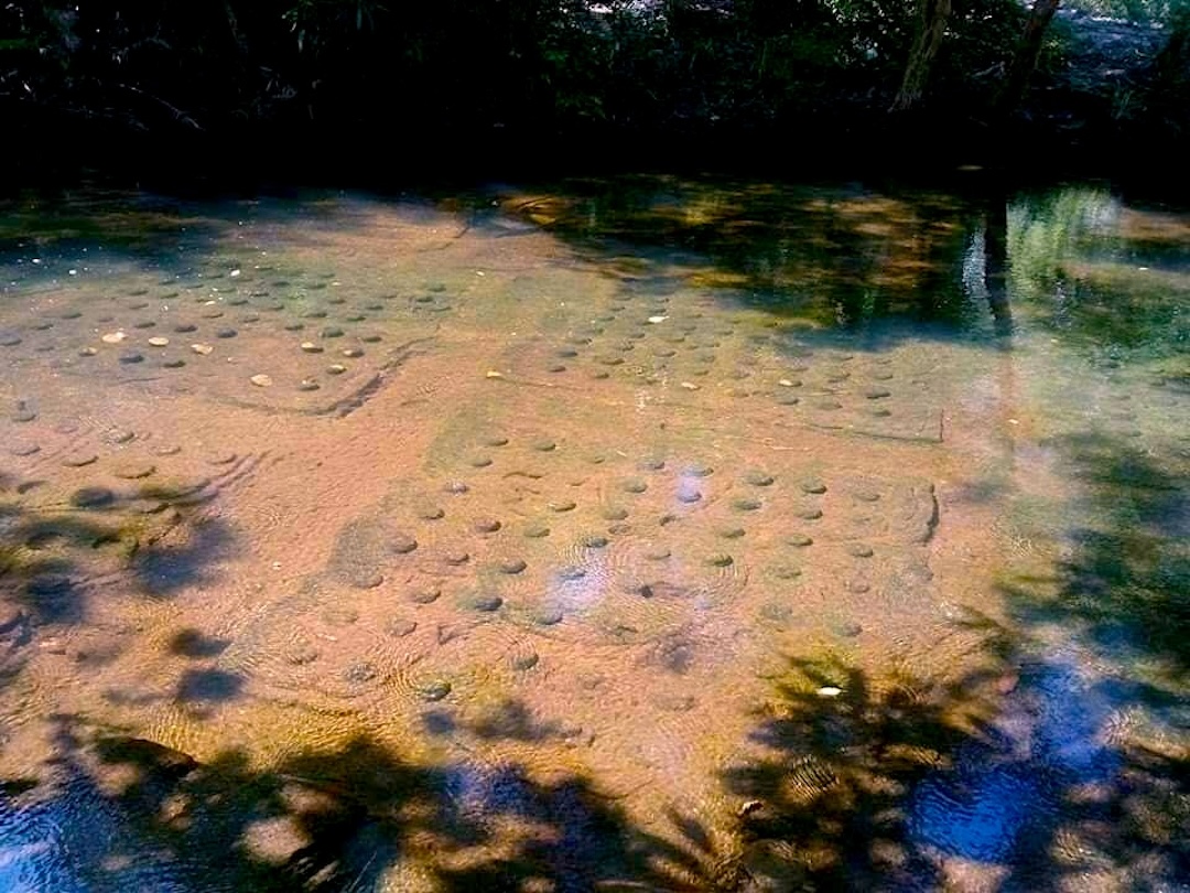 One-thousand-Linga-Phnom-Kulen-Angkor-Adventure-Cambodia-Adventure-Classic-Adventure-Angkor-Cambodia-Adventure-angkorcamadventure.com-01