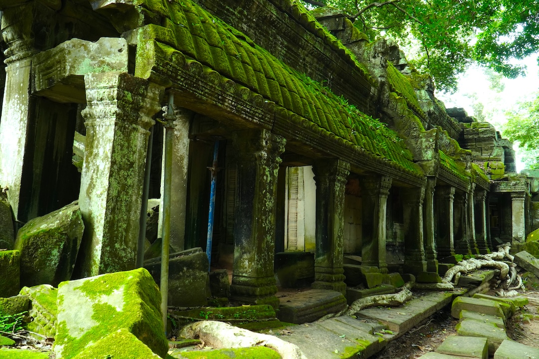 Ta-Prohm-temple-Siem-Reap-Angkor-Cambodia-Tour-Angkor-Cambodia-Adventure-Tour-Private-Tour-angkorcamadventure.com-02
